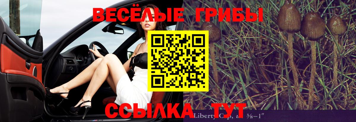 Туапсе  Псилоцибиновые грибы Magic Shrooms  Вход с VPN 